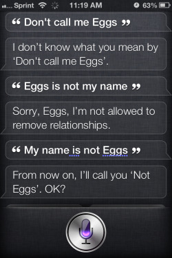 makechaos:  thesiliconeveil:   Siri is looking for a beating
