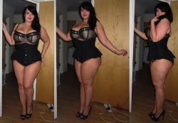 Curvy Females Tribute