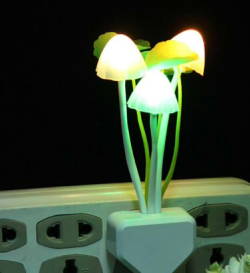 spencerofspace:Make your room a fairy garden with glowing mushroom