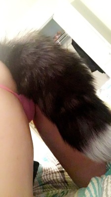 tsunidae: Here’s a little pussy… 