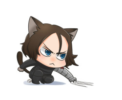 moukin-tarou:  Bucky Cat! (ФωФ)