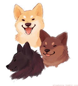did some stress free doggie doodles ye
