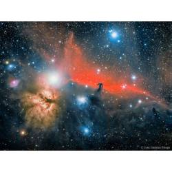 The Horsehead Nebula #nasa #apod #horsehead #nebula #dust #gas