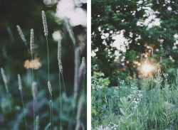 breakingoftheday:  floralls:  (by Emily Boyer Photography)  forever