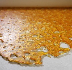 thatstonerfromtheblock:  Orange skunk berry by HGH extraction