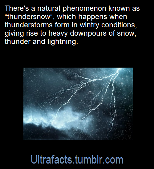 ultrafacts:Source: [x]Click HERE for more facts!