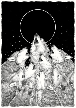 anisis-scrapbook:  Some personal art with howling wolves C:Medium: