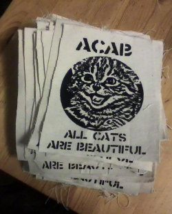 cat-sessorize:  ACAB All Cats Are Beautiful Patch Cat-sessorize!
