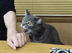 lolfactory:  hmm that looks tasty…. i’m sorry!!! tumblr pics[via