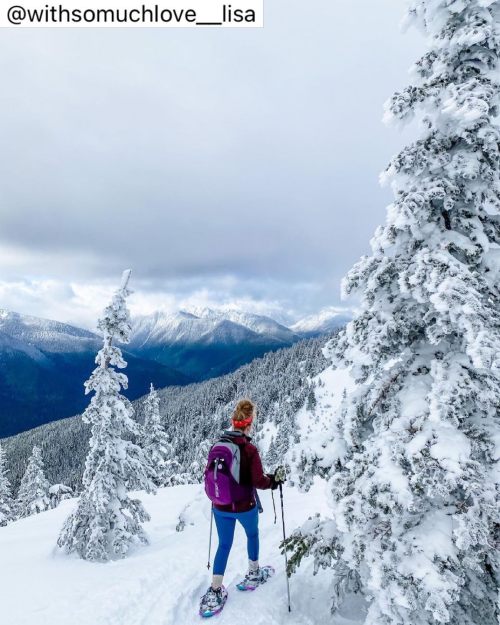 visitportangeles:  Winter snowshoeing adventures in the Olympic