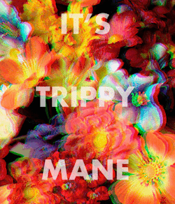 absolute-tripper:  gldsxvl:  ☯  click to trip