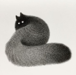 artisticmoods:    A selection of very, very fluffy cats by Kamwei