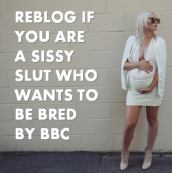 love-being-a-bareblacked-sissy:  sissybimbocaptions: Reblog sissies!
