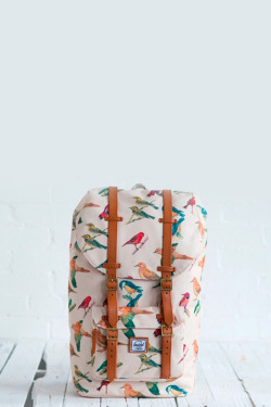 freshkings:  Bird Print Bag and by Herschel Supply Co: SHOP