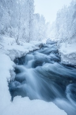 maureen2musings: Winters Keep   Arild Heitmann   