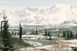 beartreadway:  The road home. April 2015 - Alaska 