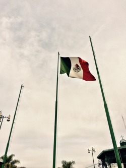 galiescobedo:  mx 