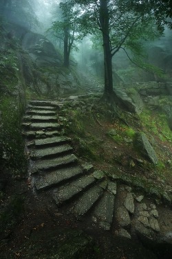 moon-sylph:  0rient-express:  Stairway to the Castle | by Karol