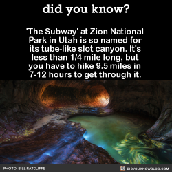 did-you-kno:  ‘The Subway’ at Zion National Park in Utah