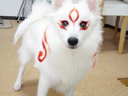 Ōkami cosplay :D