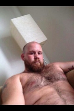 superbears:  Cute Cub Want 