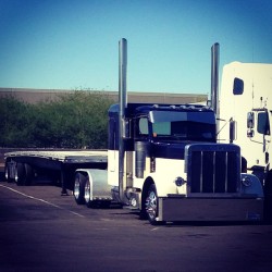 truckingworldwide:  onegirltrucking:  Sharp ride. #peterbilt