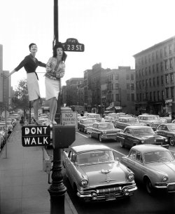 swinginglamour: Carmen Dell’Orefice and Betsy Pickering photographed