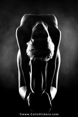 ttoottoott:Twisted by Vienna-Calling