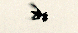streamksoossoloalbum:                          