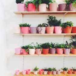 atma-moon:  Colorful Decor Inspiration en We Heart It - http://weheartit.com/entry/160005672