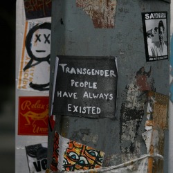 queergraffiti:  shawnhnichols:  Trans | Seattle, Washington -