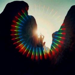 bvddhist:   organic | spiritual | hippie 
