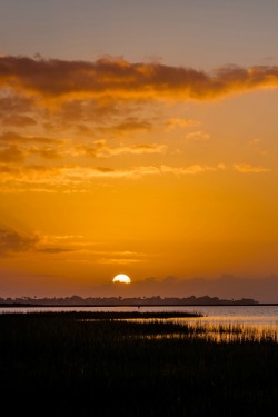 sundxwn:  Time for Rest by Jianhua Zhang