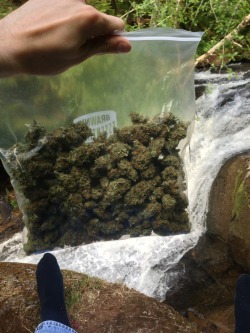 kikback:  oregonblues:  Happiness is only a waterfall and a quarter