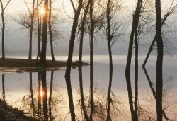 original-photographers:  Lake Sammamish, Washington, 1975. 