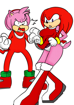 mattmiles1995:  Matt and Nat Sonic Swap: Knuckles and Amy by