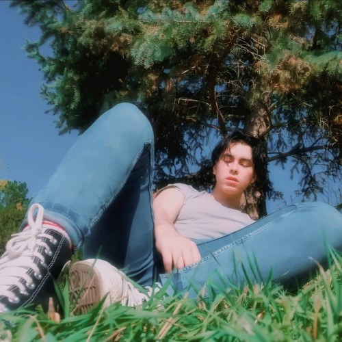 punknarcissus:  suburbia