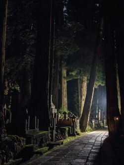 coisasdetere:  Koyasan (graveyard) - Wakayama, Japan .