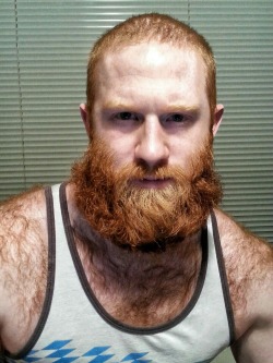 furryhotbears:  🐻