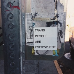notkingtriton: TRANS PEOPLE ARE EVERYWHERE- Capitol Hill, Seattle,