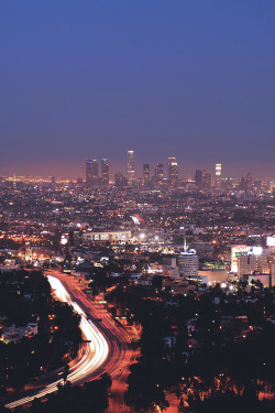 reals:  Los Angeles | Photographer        x