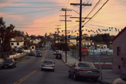 flavietrichetlespagnol:Sunset in Echo Park, Los Angeles, CaliforniaJanuary