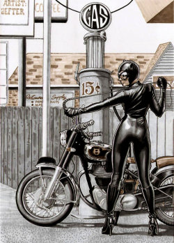 spyrale:    Catwoman by jefterleite   
