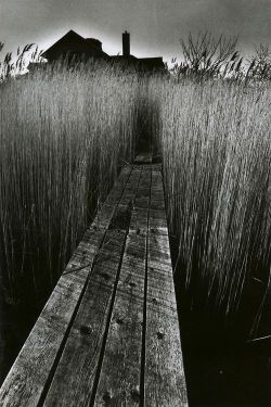last-picture-show:  Jeanloup Sieff, The Black House, New York,