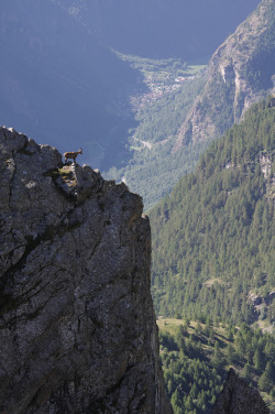 along-my-way:  On the top of the world (monte Pancherot, Valle