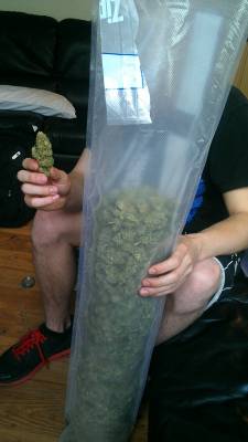 transformgkc:  ironlungs:  your-pot-blog:  Just picked up a lb