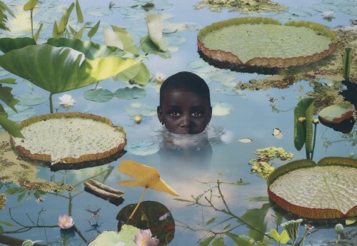 ochyming:  Ruud van Empel B. 1958 WORLD #5, 2005 Cibachrome