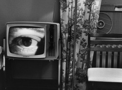 pentauroi: Lee Friedlander