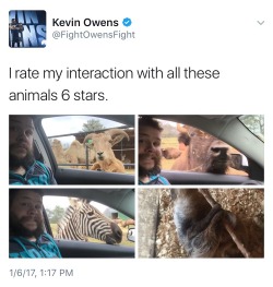 wrestlebearowens:If you don’t think Kevin Owens is the most