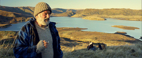 henricavyll:  “Nature just got gangster”   Hunt for the Wilderpeople (2016)  dir.  Taika Waititi 